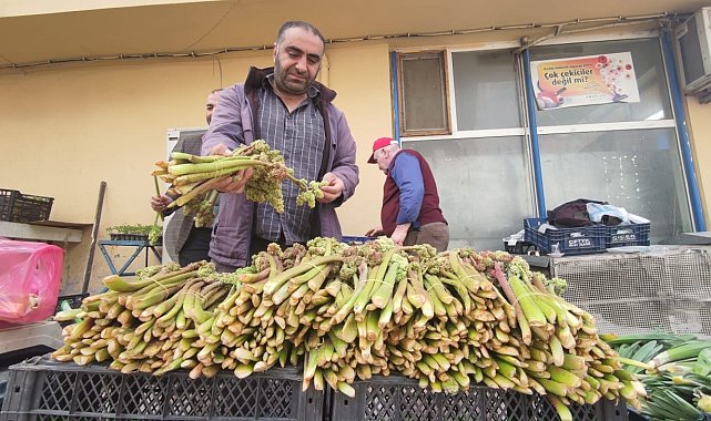 Şifa deposu 'ışkın' tezgahlardaki yerini aldı