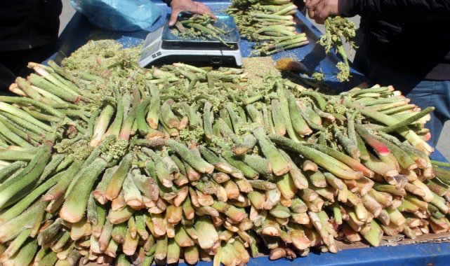 Şifa kaynağı ışkının kilosu 50 TL'den satılıyor