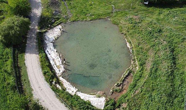 Siirt'te doktor balıklar şifa dağıtıyor