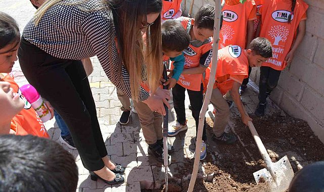 Silopi&#039;de öğrenciler tiyatrodan kazandıkları parayla ağaç dikti