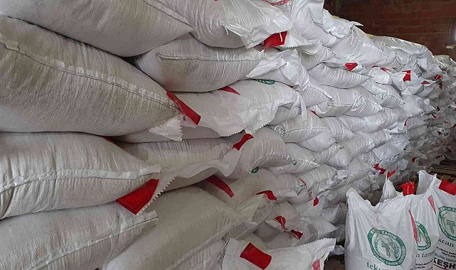 Sinoplu çiftçilere çeltik tohumu hibesi