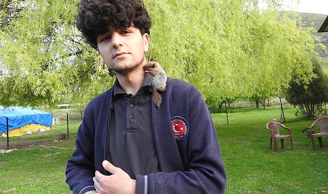 Şırıngayla beslediği sincap yavrusu yanından ayrılmıyor