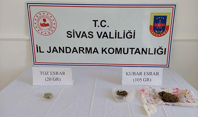 Sivas'ta narkotik köpekli şafak operasyonu