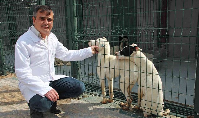 Sokak hayvanlarını sahiplenme çağrısı