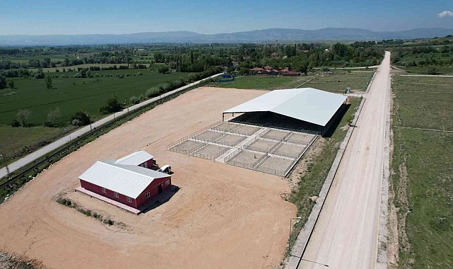 Suluova'da yeni hayvan pazarı hizmette