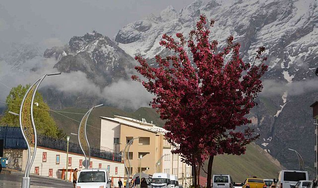 Sümbül Dağı'na kar yağdı