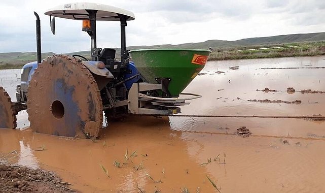 Sungurlu'da çeltik ekimi başladı