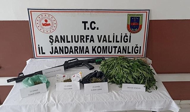 Suruç'ta uyuşturucu operasyonu