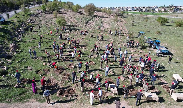 Talas Belediyesi'nden Ali Dağı'na fidan dikimi