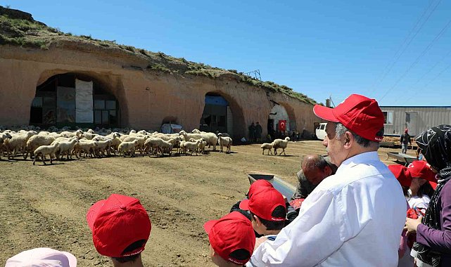 Talas'ta minikleri heyecanlandıran kuzu katımı