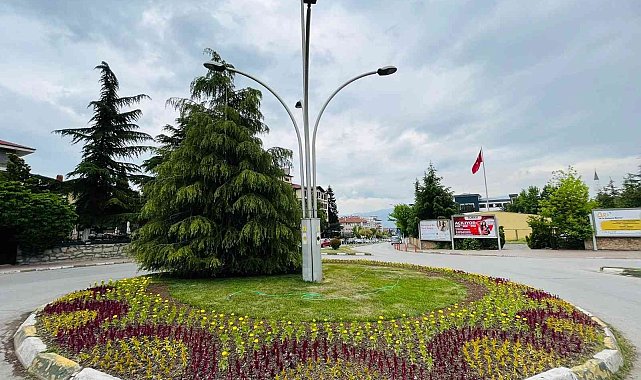 Tarihi ilçe Safranbolu, serada yetiştirilen çiçeklerle renklendi