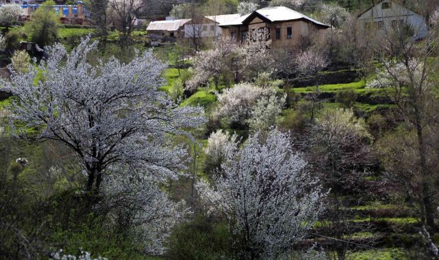 Tarihi mahalle bahar renklerine büründü, görsel şölen oluştu