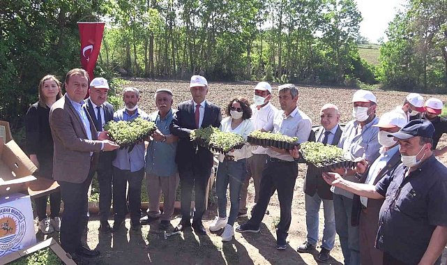 Tarıma destek 10 kat arttı