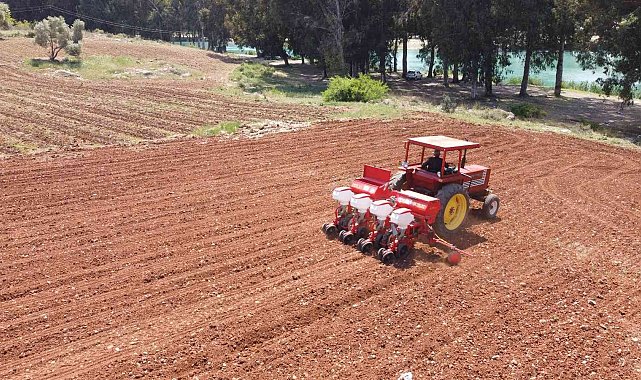 Tarsus Belediyesinden hayvan besicilerine silajlık mısır desteği