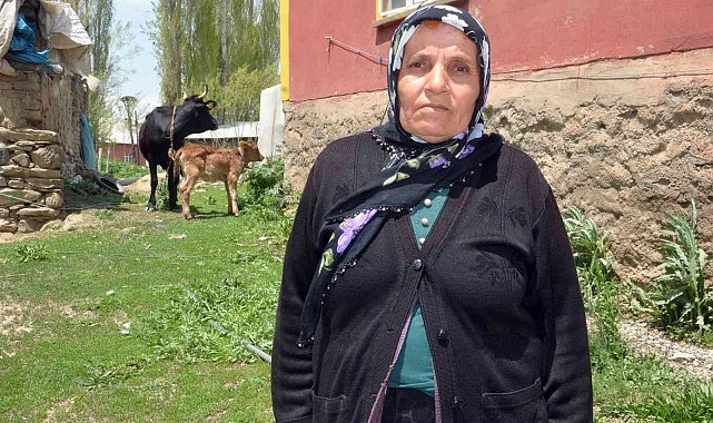 Tek geçim kaynağı olan ineği ölen kadına bakanlıktan sürpriz