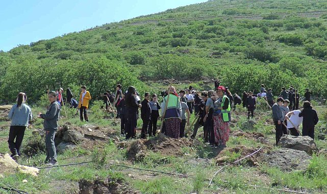 Tekden Koleji öğrencileri 280 fidanı toprakla buluşturdu