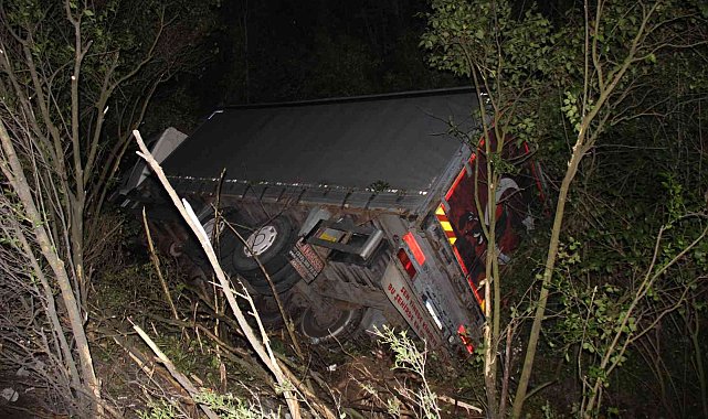 TEM'de kontrolden çıkan yumurta dolu kamyon devrildi