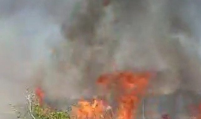 Temizlik işçisinin dikkati meyve bahçesinin yanmasını önledi