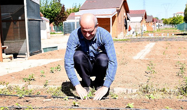 Tepebaşı'nda 10 bine yakın fide toprakla buluştu