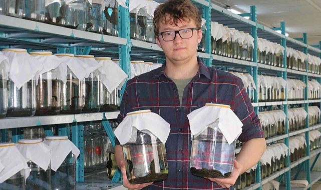 Tıbbi sülük talebine yetişemiyorlar, milyonlarca üretilip dünyaya satılıyor