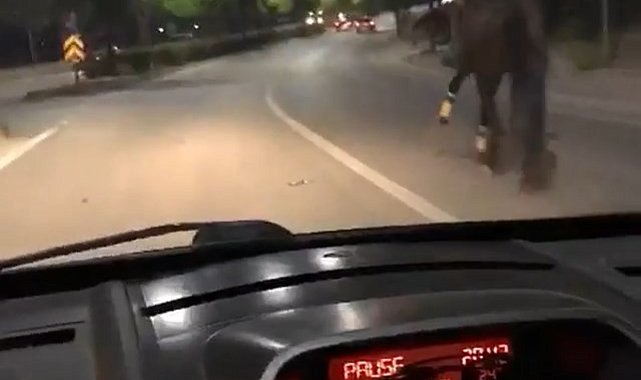 Trafikte atla yarıştı, araç sürücüsü ise spiker gibi anlattı