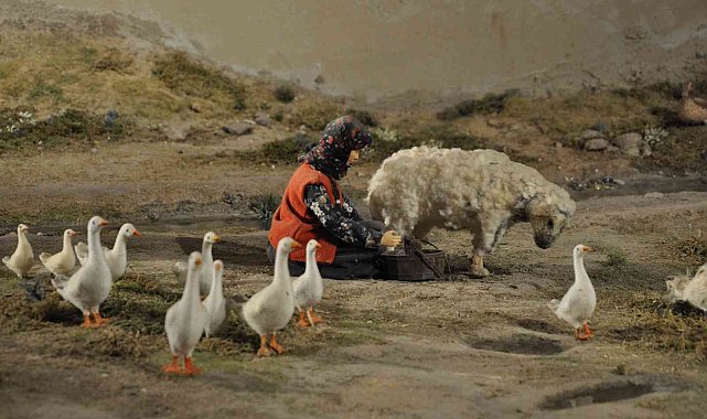 Türkiye'nin ilk Peynir Müzesi Kars'ta