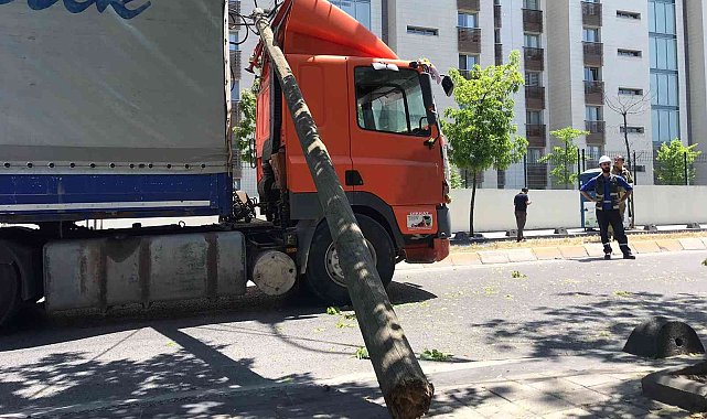 Ümraniye'de tır, elektrik direklerini ve bir ağacı devirdi