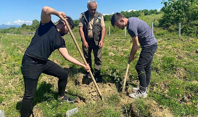 Üniversite öğrencileri fidanları toprakla buluşturdu