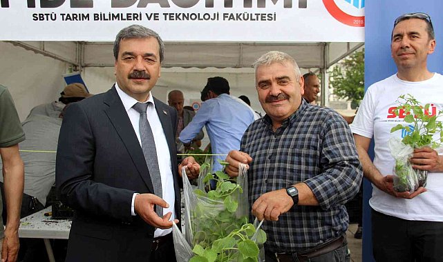 Üniversite, üretimde niteliği arttıracak 50 bin fide dağıttı