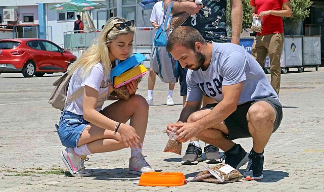Üniversiteli öğrenciler, yerleşkedeki sokak hayvanlarını unutmadı