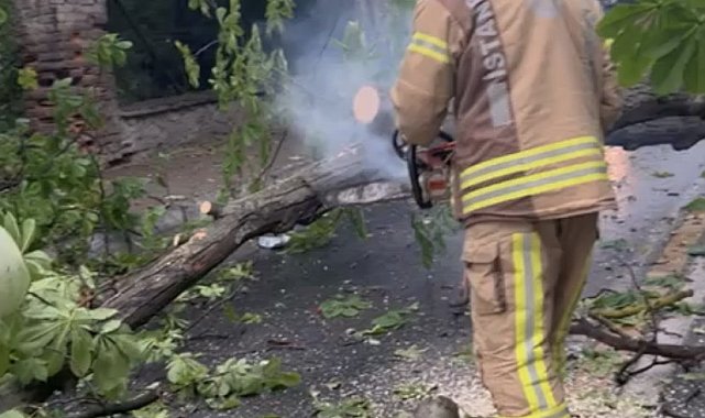 Üsküdar&#039;da seyir halindeki araçların üzerine ağaç devrildi