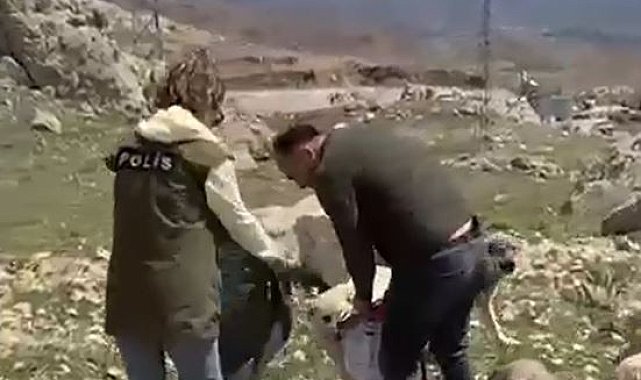 Van polisinden sokak hayvanları için beslenme etkinliği