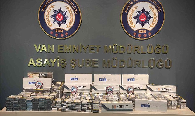 Van'da 25 şahıs tutuklandı