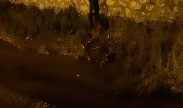 Van&#039;da kaçak balık avlayanlara yönelik denetimler sürüyor