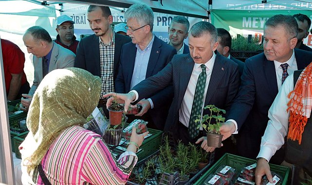 Vatandaşa 82 bin fide dağıtıldı