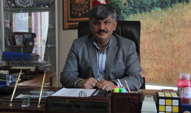 Yağışlar çiftçinin umutlarını yeşertti