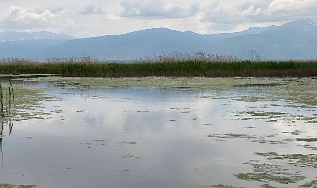Yağışlar Eber Gölü'ne adeta can suyu oldu