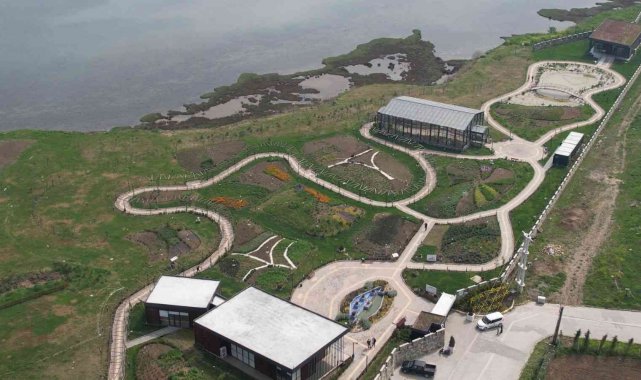 Yalova Altınova tıbbı bitki üretiminde de söz sahibi olacak