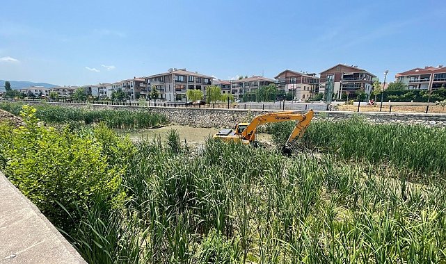 Yalova Belediyesi'nden Safran Deresi'nde temizlik çalışması