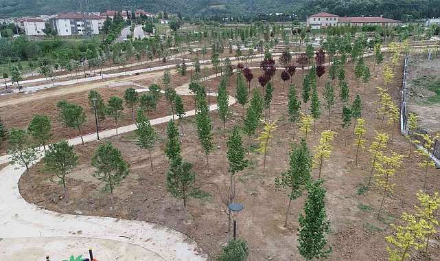 Yangının çıktığı eski enkaz döküm sahası yeşil alan dönüştü