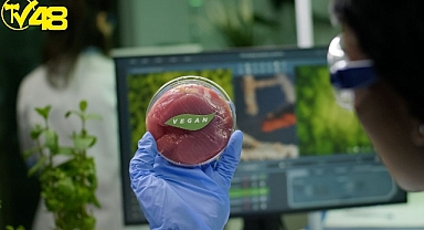 Yapay Et Gerçek Etin Yerini Doldurabilir Mi ?