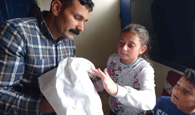 Yaralı baykuşu baba-kız tedavi etti