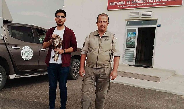 Yaralı halde bulunan sincap ve şahin tedavi altına alındı