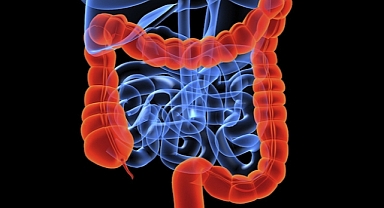 Yaşlanma Belirtilerini Tersine Çeviren Buluş
