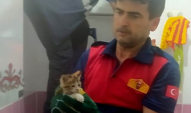 Yavru kediyi itfaiye kurtardı