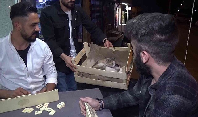 Yok böyle bir olay...Okey masasında doğum