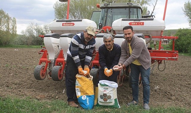 Yozgat&#039;ta 5 çeşit kuru ve yeşil fasulye deneme ekimi yapıldı