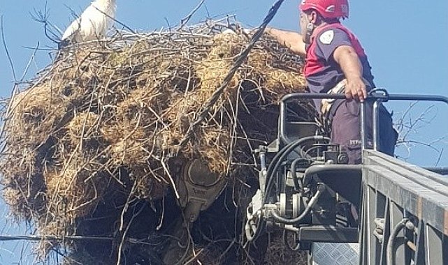 Yuvasından düşen yavru leyleğin imdadına itfaiye yetişti
