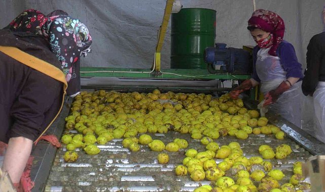 150 bin ton limon sevkiyatı devam ediyor