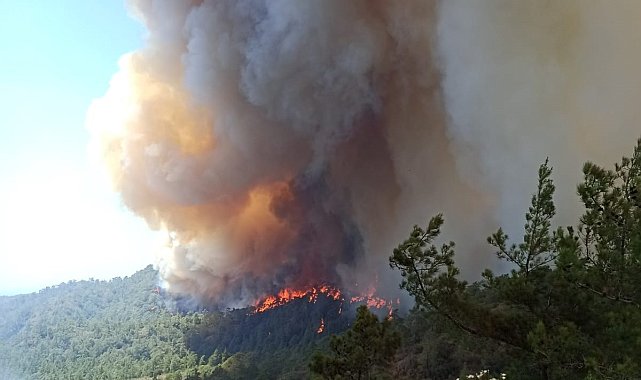 19 saattir alev alev yanıyor